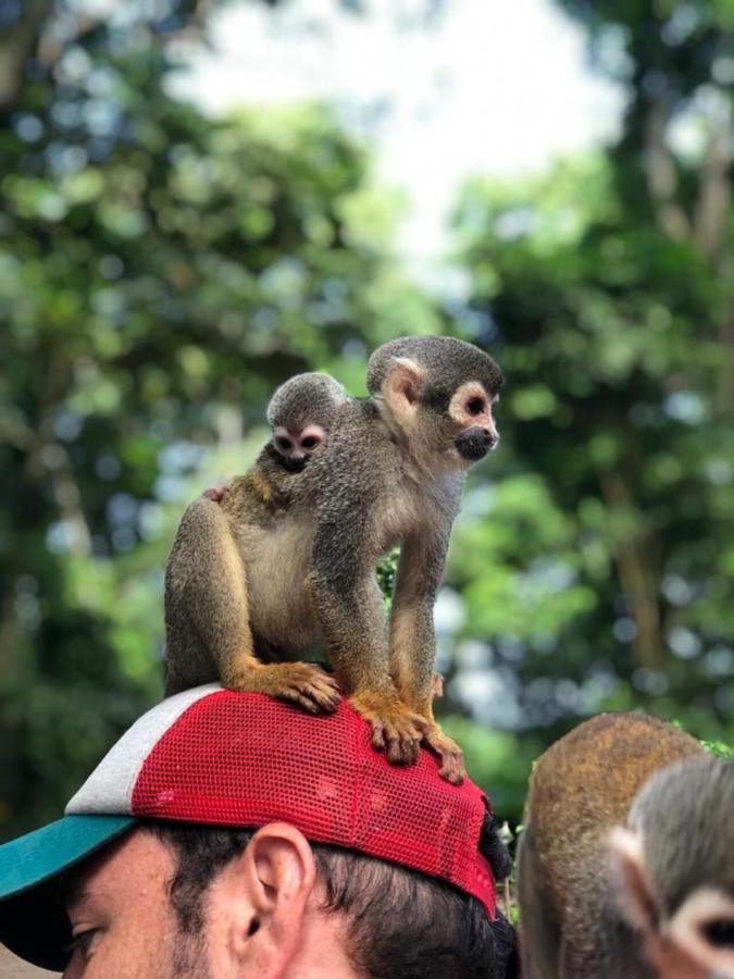 Hotel Yurupary Amazonas Leticia Zewnętrze zdjęcie